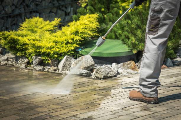Best House Exterior Washing  in Celina, TX